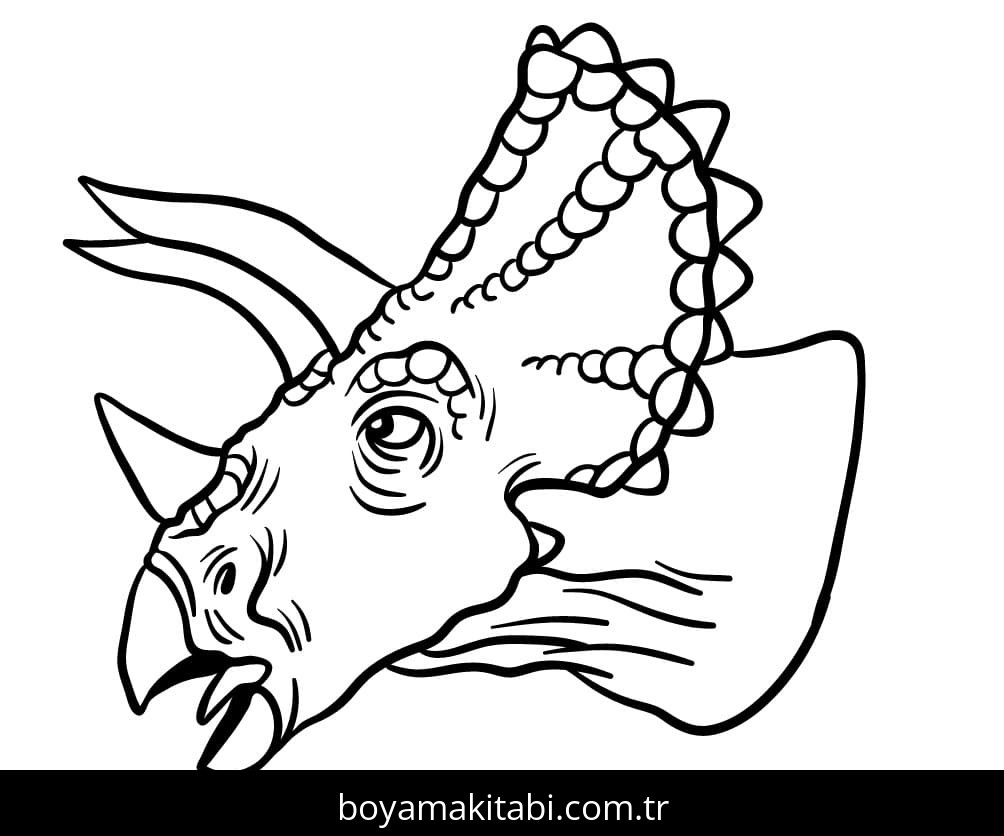 Triceratops