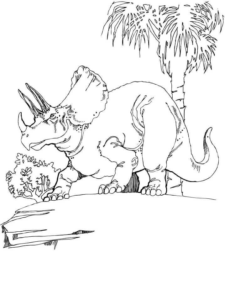 Triceratops