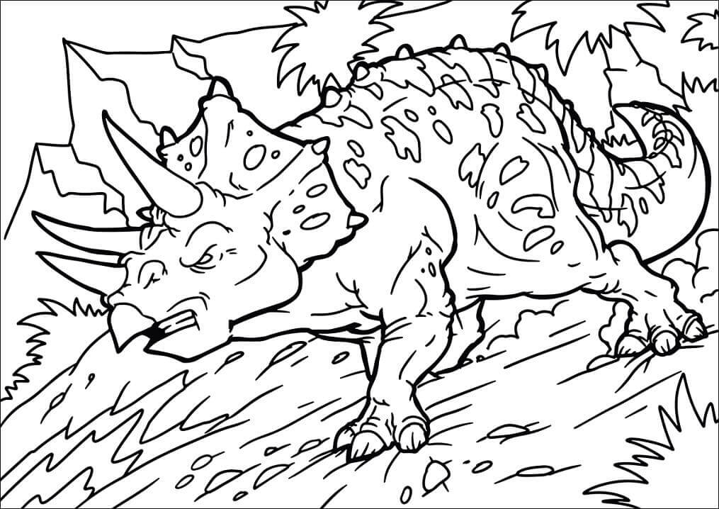 Triceratops