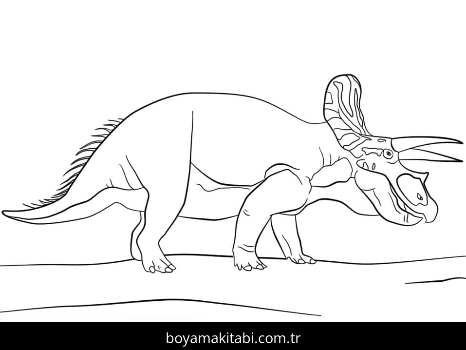 Triceratops