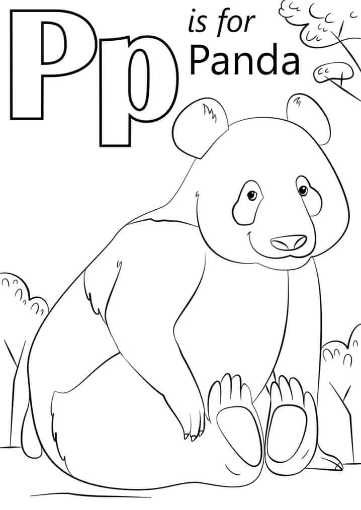 Türk Alfabesi Harfleri