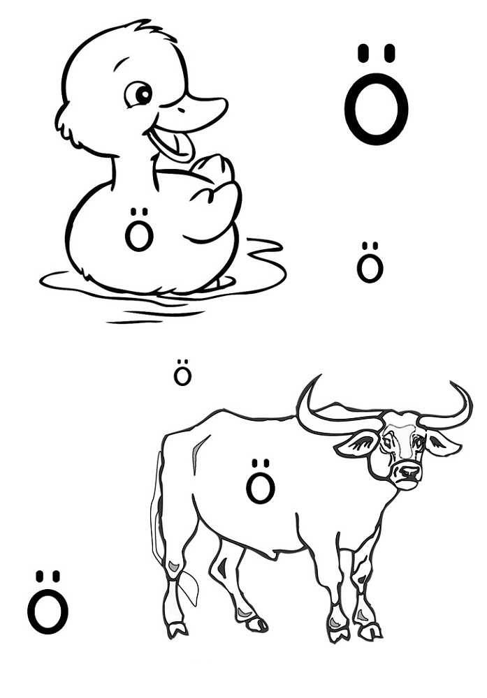 Türk Alfabesi Harfleri