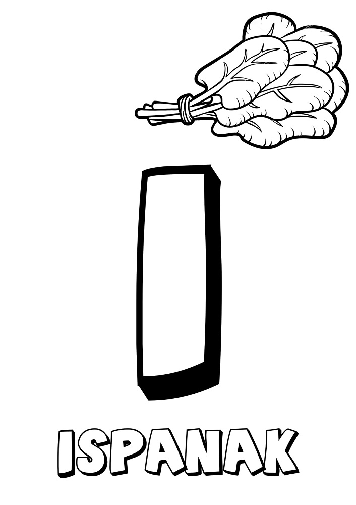 Türk Alfabesi Harfleri