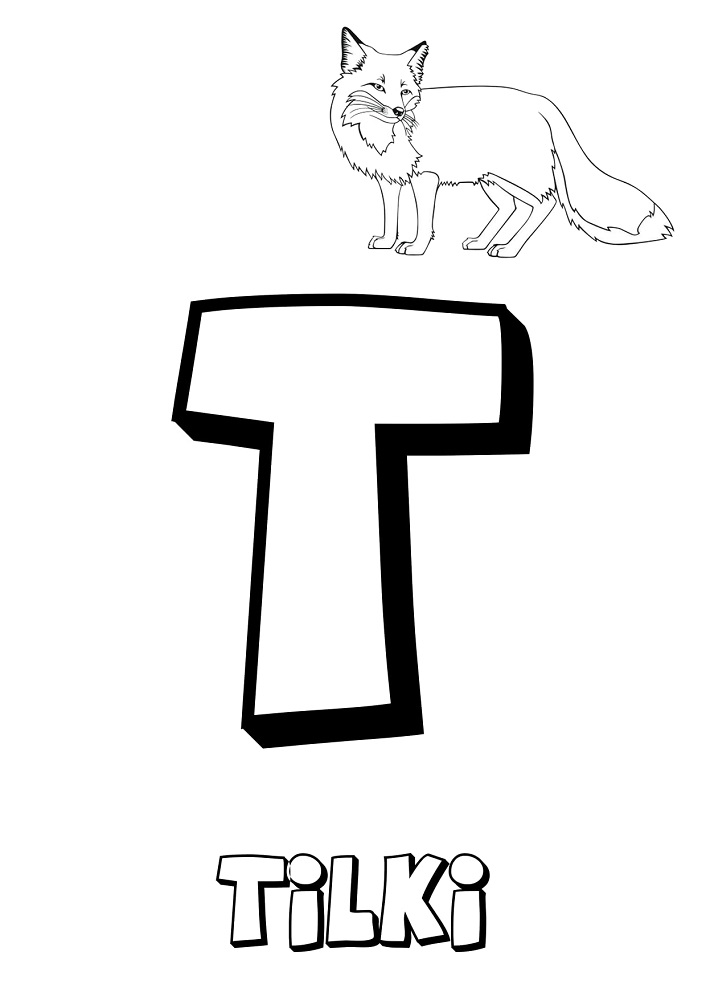 Türk Alfabesi Harfleri