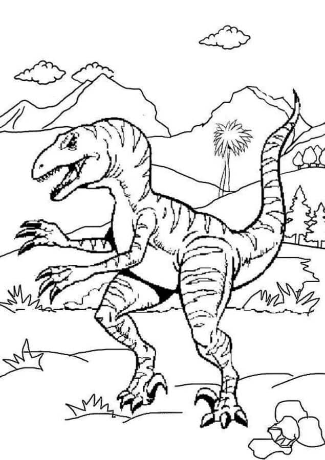 Velociraptor