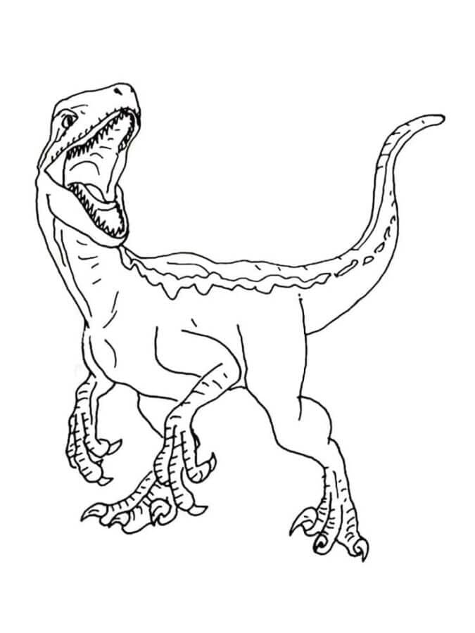 Velociraptor