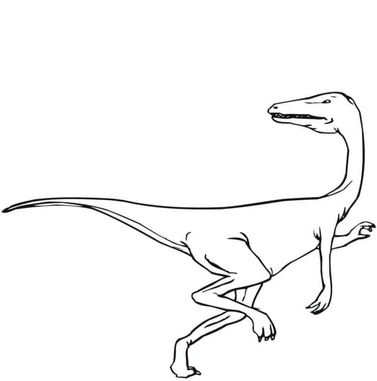 Velociraptor