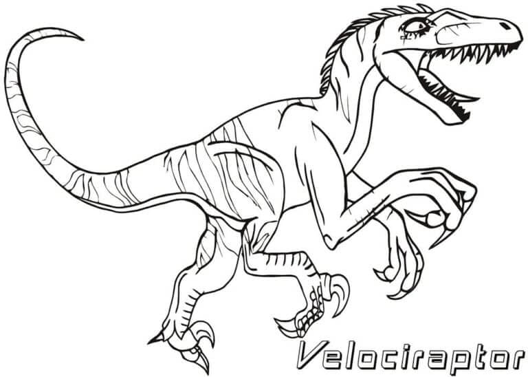 Velociraptor