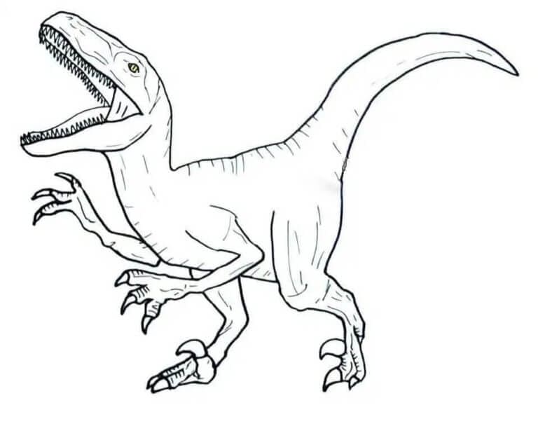 Velociraptor