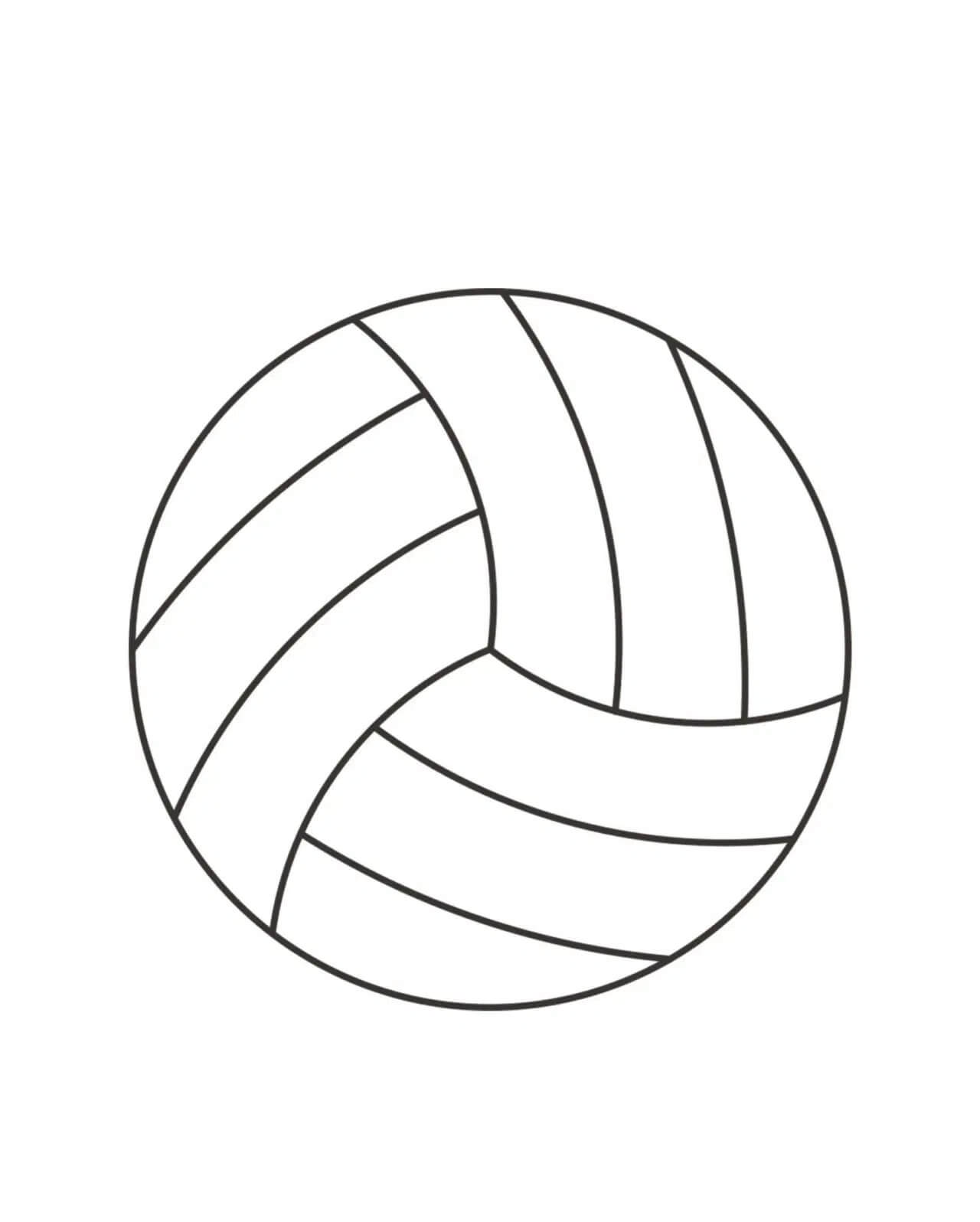 Voleybol