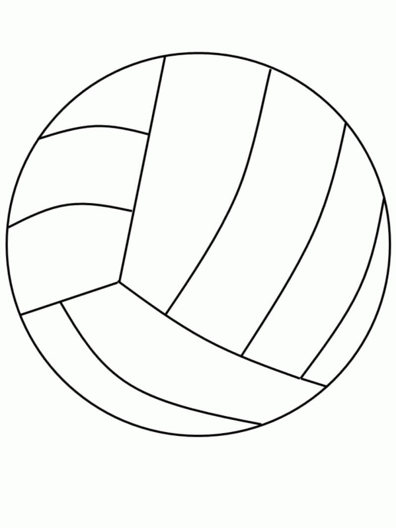Voleybol