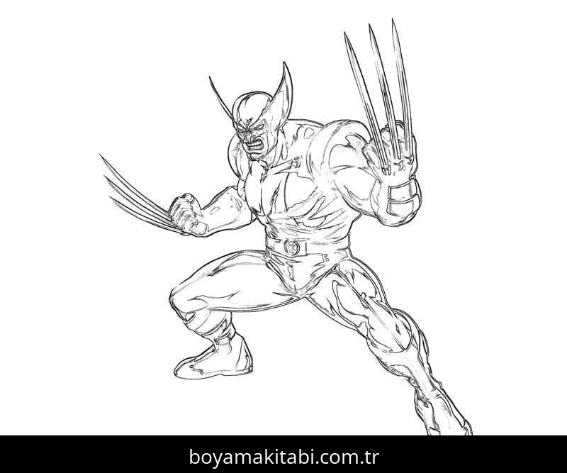 Wolverine