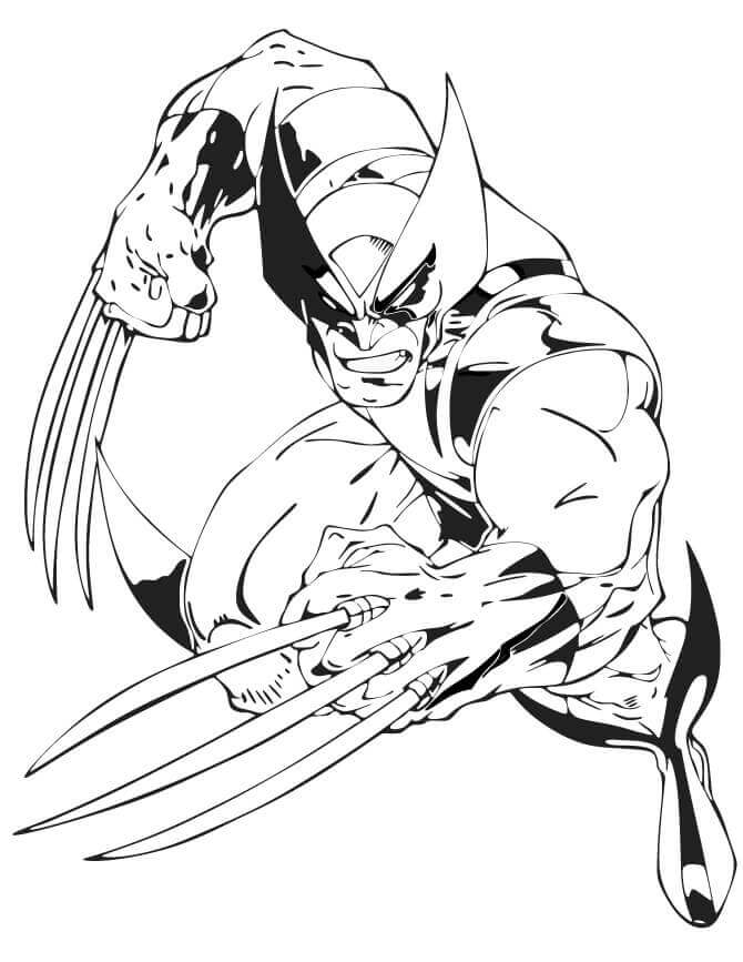 Wolverine