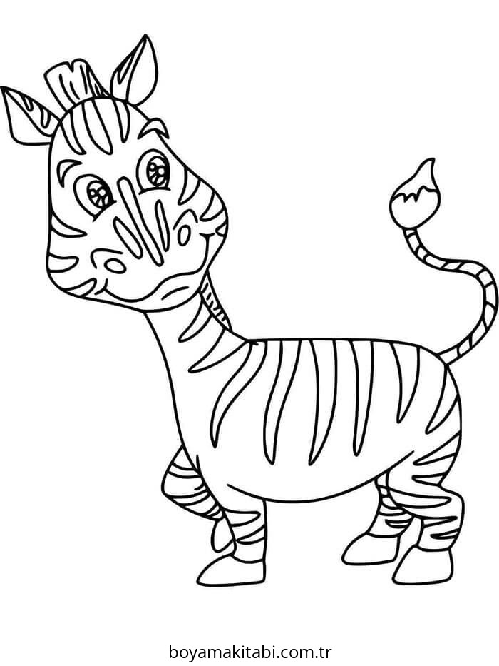Zebra