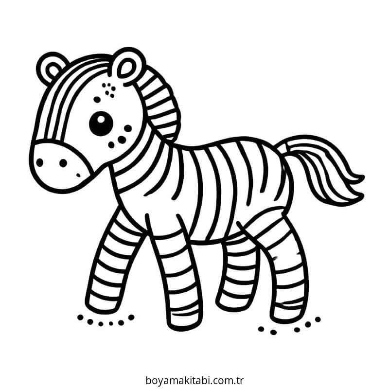Zebra