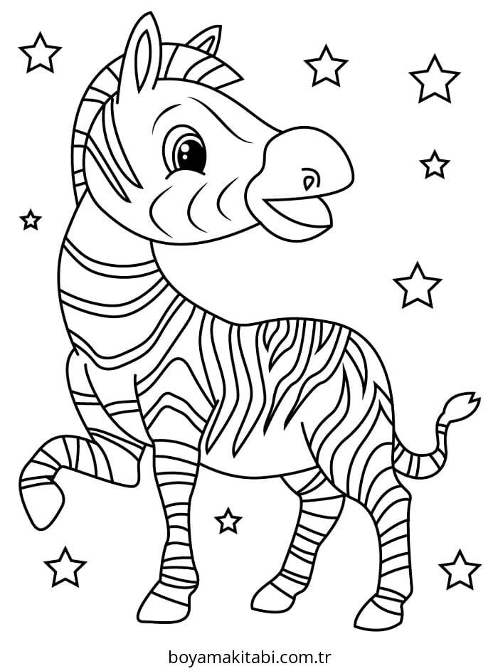 Zebra