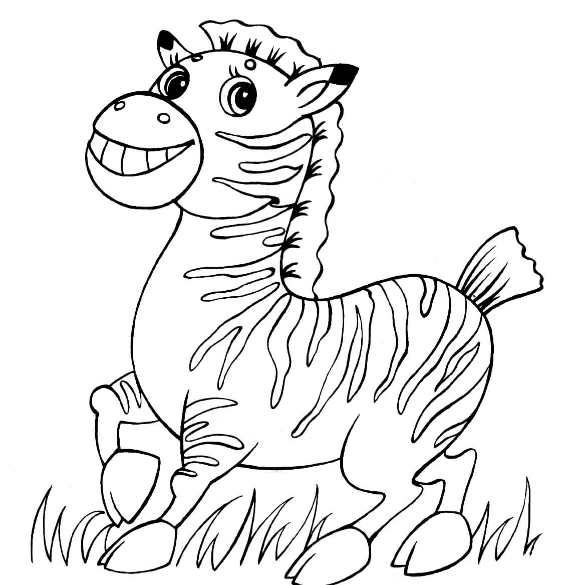 Zebra