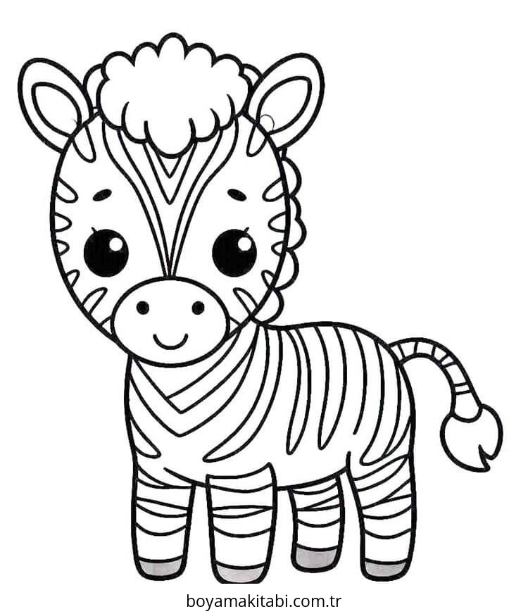 Zebra