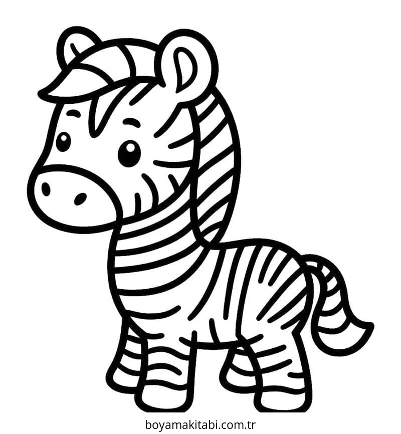 Zebra